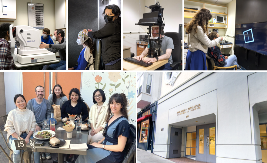 Collage of images with postdoctoral fellows engaged in experiments, a group shot of the fellows and an image of the SKERI building