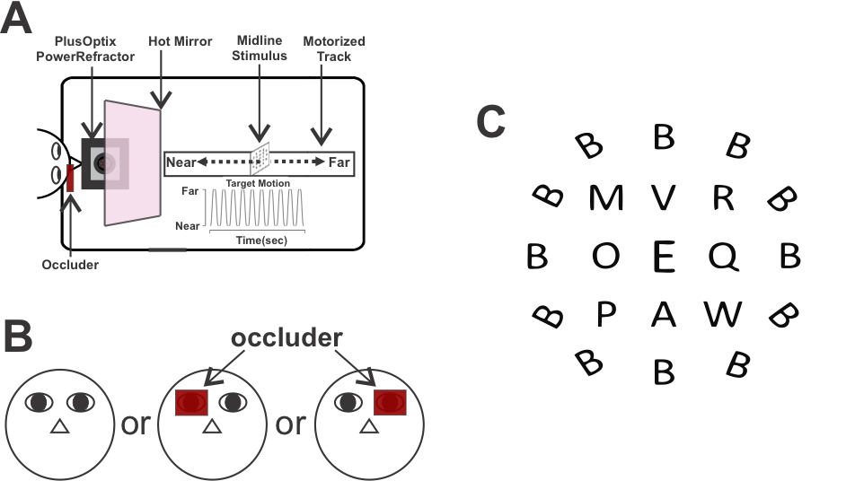 Conjugate and Disconjugate control of binocular eye movements | Smith ...